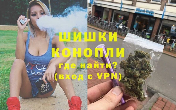 PSILOCYBIN Богородск